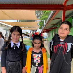 image photo_2022-10-29_22-27-02-jpg