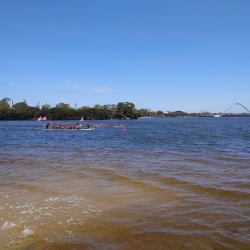 image 20241130_104141-jpg