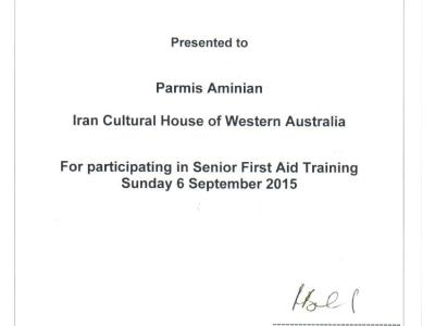 Parmis-4