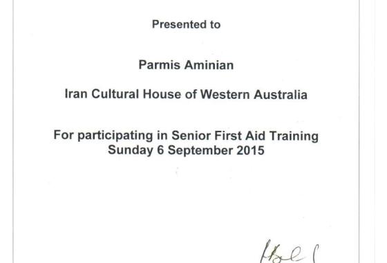 Parmis-4